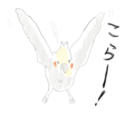 Parakeet HANA sticker #9815857