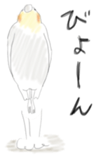 Parakeet HANA sticker #9815860