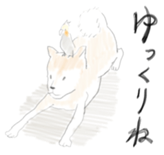 Parakeet HANA sticker #9815865