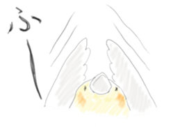 Parakeet HANA sticker #9815868