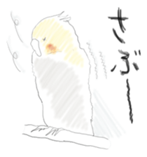 Parakeet HANA sticker #9815870