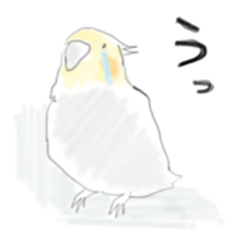 Parakeet HANA sticker #9815871