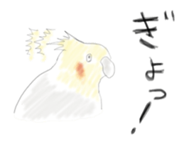 Parakeet HANA sticker #9815873