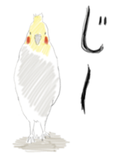 Parakeet HANA sticker #9815877