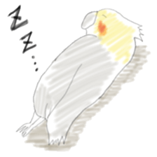 Parakeet HANA sticker #9815879