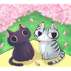 STRAYCATS in spring and summer