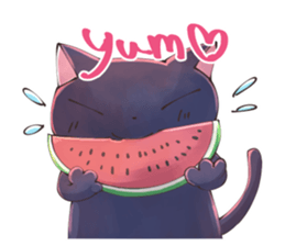 STRAYCATS in spring and summer sticker #9816870