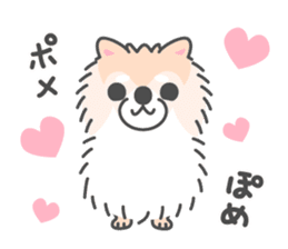 Pomeranian Sticker of Pomeru every day sticker #9817400