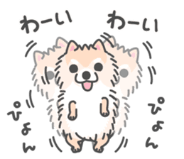 Pomeranian Sticker of Pomeru every day sticker #9817404