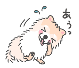 Pomeranian Sticker of Pomeru every day sticker #9817405