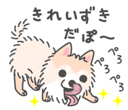 Pomeranian Sticker of Pomeru every day sticker #9817409