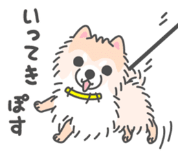 Pomeranian Sticker of Pomeru every day sticker #9817410