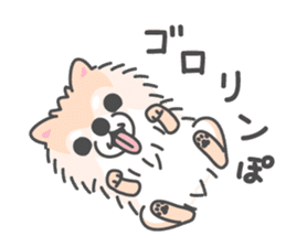 Pomeranian Sticker of Pomeru every day sticker #9817413