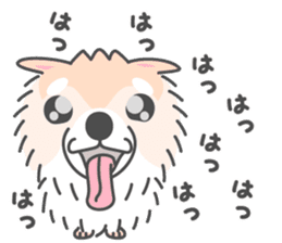 Pomeranian Sticker of Pomeru every day sticker #9817417