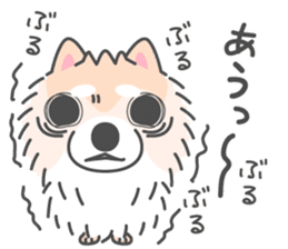 Pomeranian Sticker of Pomeru every day sticker #9817418
