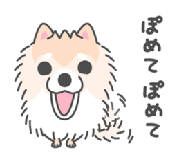 Pomeranian Sticker of Pomeru every day sticker #9817419