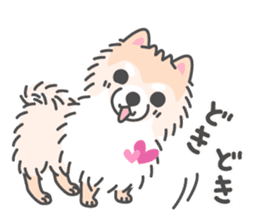 Pomeranian Sticker of Pomeru every day sticker #9817420