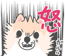 Pomeranian Sticker of Pomeru every day sticker #9817423