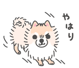 Pomeranian Sticker of Pomeru every day sticker #9817425