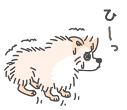 Pomeranian Sticker of Pomeru every day sticker #9817426
