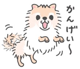 Pomeranian Sticker of Pomeru every day sticker #9817428