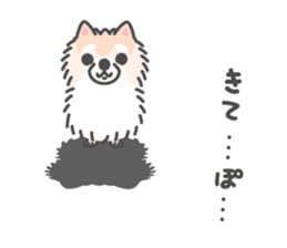 Pomeranian Sticker of Pomeru every day sticker #9817430