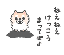 Pomeranian Sticker of Pomeru every day sticker #9817431