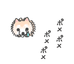 Pomeranian Sticker of Pomeru every day sticker #9817434