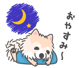 Pomeranian Sticker of Pomeru every day sticker #9817439