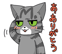 Grey striped cat sticker #9817482