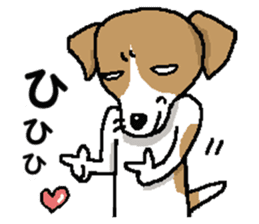 Jack dog sticker #9820498