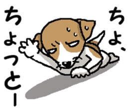 Jack dog sticker #9820516