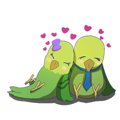 The happy parrots
