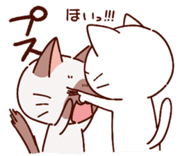Siamese cat lovebirds!ver.white cat sticker #9822373