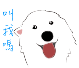 Cute Dog Samoyed sticker #9824920