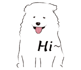 Cute Dog Samoyed sticker #9824921