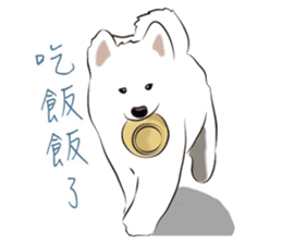 Cute Dog Samoyed sticker #9824923