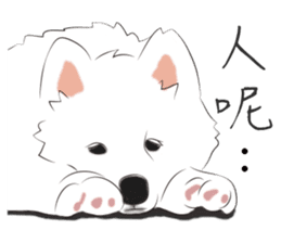 Cute Dog Samoyed sticker #9824926