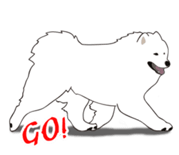 Cute Dog Samoyed sticker #9824928