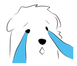 Cute Dog Samoyed sticker #9824929