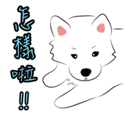 Cute Dog Samoyed sticker #9824930