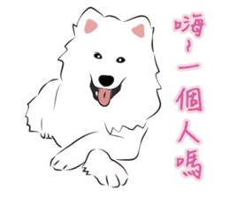 Cute Dog Samoyed sticker #9824937
