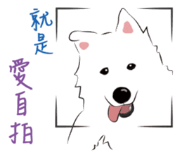 Cute Dog Samoyed sticker #9824941