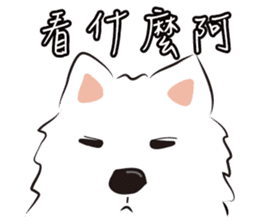 Cute Dog Samoyed sticker #9824943