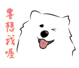 Cute Dog Samoyed sticker #9824946