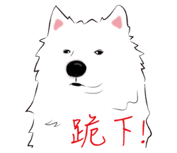 Cute Dog Samoyed sticker #9824952
