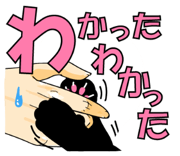 Kansai dialect BLACK CAT sticker #9828590