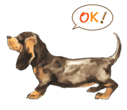 Team Dachs Dachshund! sticker #9829000