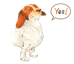 Team Dachs Dachshund! sticker #9829002