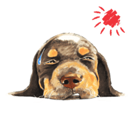 Team Dachs Dachshund! sticker #9829004